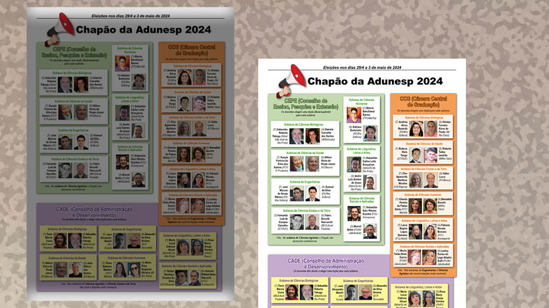 De 29/4 a 3/5, vote nas candidaturas do Chapão da Adunesp aos colegiados centrais: Vamos fortalecer nossa representação e avançar nas conquistas