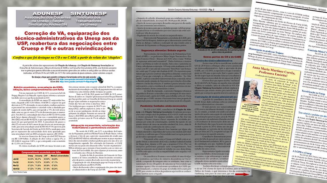 Sessões do CO e do CADE tiveram reivindicações em destaque: VA, equiparação dos técnico-administrativos da Unesp aos da USP, reabertura das negociações entre Cruesp e F6, entre outras